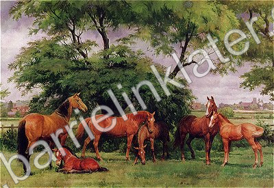Her Majesty The Queen's Favourite Mares and Foals - Shown by gracious permission of Her Majesty The Queen