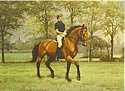 Mark And His Horse Exercising. Holland by Barrie Linklater