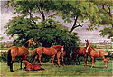 Her Majesty The Queen's Favourite Mares and Foals - Shown by gracious  permission of Her Majesty The Queen